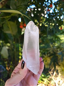 Mestre Lemuriano Autocurado