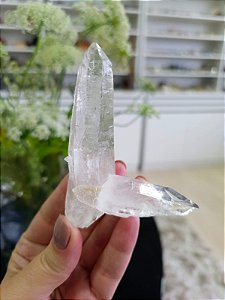 Mestre Ancestral Autocurado com Rutilos Pretos