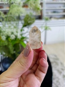 Quartzo com Rutilos Dourados