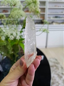 Mestre Ancestral  com Rutilos Pretos