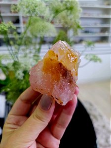 Quartzo Rosa com Golden Healer Extra