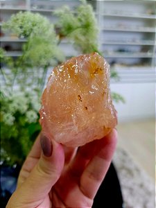 Quartzo Rosa com Golden Healer Extra