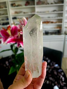 Mestre Semente Estelar com Clorita