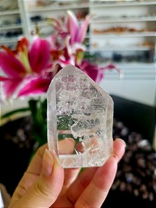 Mestre Lemuriano Semi Polido