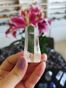 Mestre Lemuriano Semi Polido