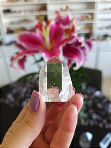 Mestre Lemuriano Semi Polido