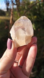 Phantom Dourado e Branco e Ponte para Dentro