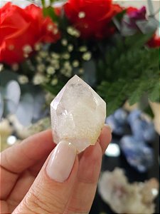 Mestre Phantom Branco