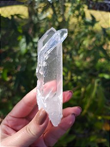 Mestre Semente Estelar com Chaves