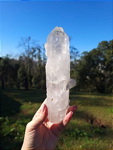 Mestre Trigônico, Autocurado e Elo do Tempo Futuro