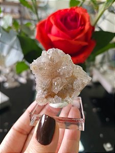 Flor de Cristal