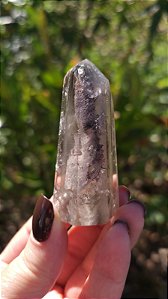 Anfibólio com Espiral Interno e Rutilos