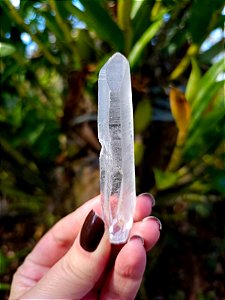 Mestre Semente Estelar Chave