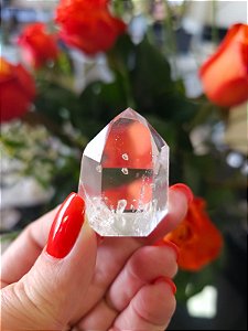 Mestre Lemuriano Semi Polido