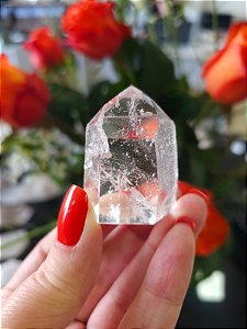 Mestre Lemuriano Semi Polido