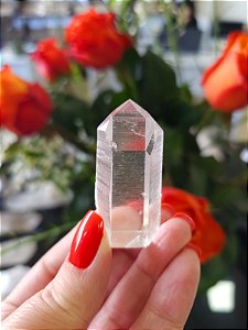 Mestre Lemuriano Semi Polido