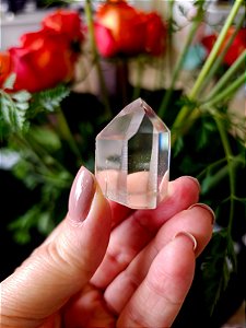 Mestre Lemuriano Semi Polido