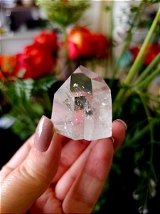 Mestre Lemuriano Semi Polido