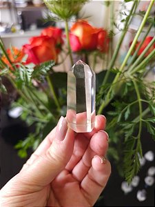 Mestre Lemuriano Semi Polido