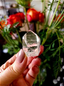 Mestre Lemuriano Semi Polido