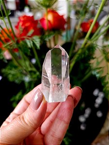 Mestre Lemuriano Semi Polido