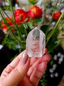 Mestre Lemuriano Semi Polido