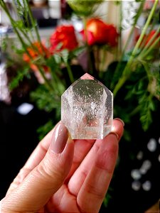 Mestre Lemuriano Semi Polido