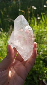 Mestre Semente Estelar Biterminado