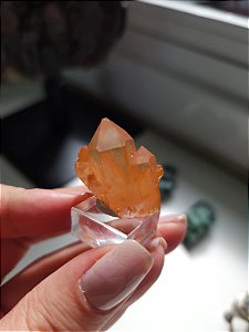 Drusa Tangerina