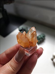 Drusa Tangerina
