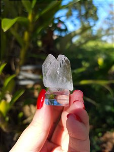 Cristal Interferência Elo do Tempo Futuro