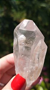 Lemuriano com Ponta Interna e Rutilos