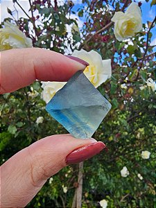 Fluorita Octaedro Azul e Verde