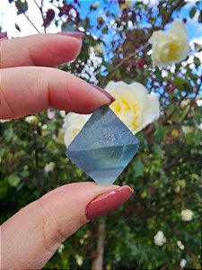 Fluorita Octaedro Azul e Verde