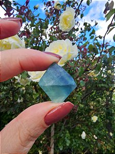 Fluorita Octaedro Verde e Azul