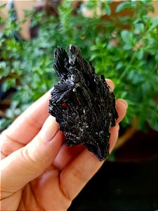 Cianita Negra - Vassoura de Bruxa