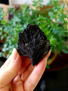 Cianita Negra - Vassoura de Bruxa