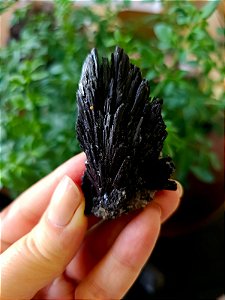 Cianita Negra - Vassoura de Bruxa