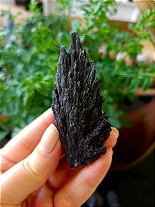 Cianita Negra - Vassoura de Bruxa