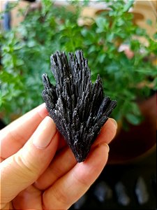 Cianita Negra - Vassoura de Bruxa