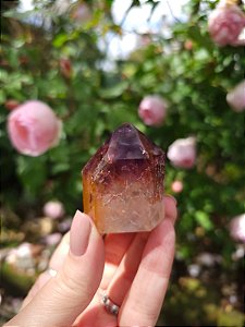 Casaco dos Sonhos - Dream Coat