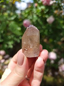 Casaco dos Sonhos - Dream Coat