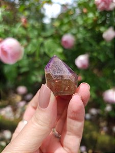 Casaco dos Sonhos - Dream Coat