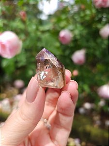 Casaco dos Sonhos - Dream Coat