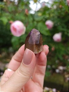 Casaco dos Sonhos - Dream Coat