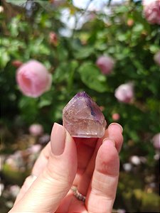 Casaco dos Sonhos - Dream Coat