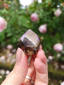 Casaco dos Sonhos - Dream Coat