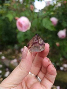 Casaco dos Sonhos - Dream Coat