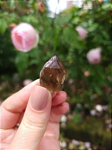 Casaco dos Sonhos - Dream Coat