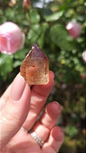 Casaco dos Sonhos - Dream Coat